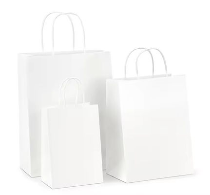 Bolsa de regalo de compras con logotipo impreso y OEM / ODM aceptado