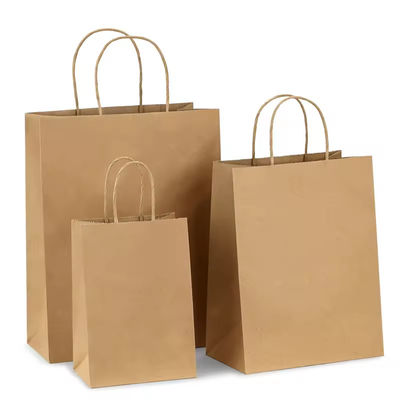 Bolsa de regalo de compras con logotipo impreso y OEM / ODM aceptado