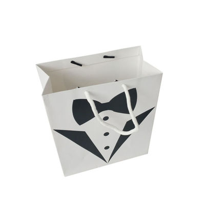 Empresa pequeña Logotipo personalizado Aceptado Bolsa de papel biodegradable reciclable Embalaje de regalo