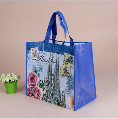 Bolso de compras no tejido con impresión de logotipo personalizado aceptable OEM / ODM Pp Bolso de compras tejido