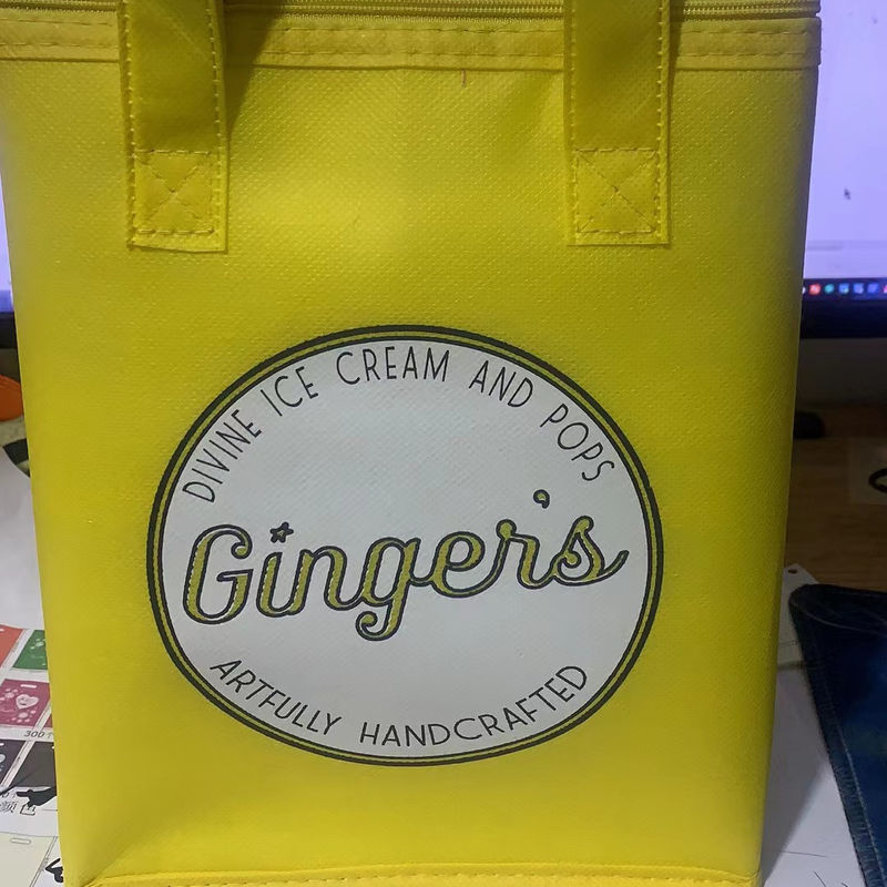 Bolso de compras para picnic de color aislante aislante no tejido