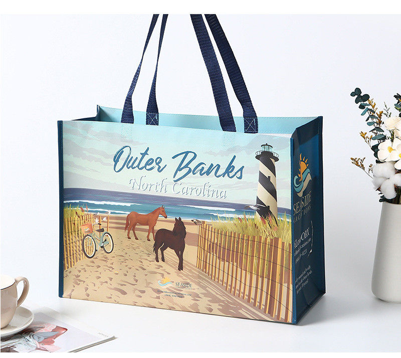 Bolsa laminada no tejida ecológica de tamaño mediano para tiendas personalizadas